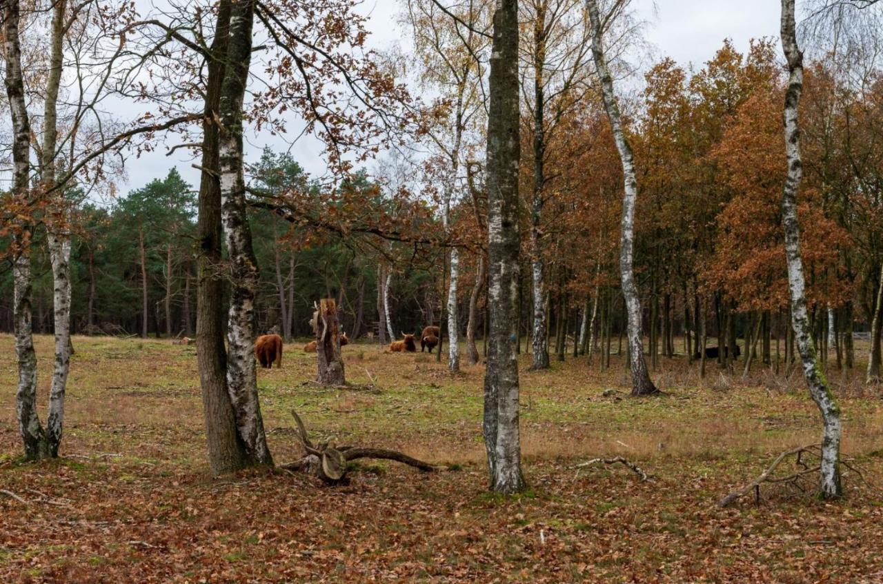 "Dennenhuisje" Op Bospark Ijsselheide Hattemerbroek エクステリア 写真