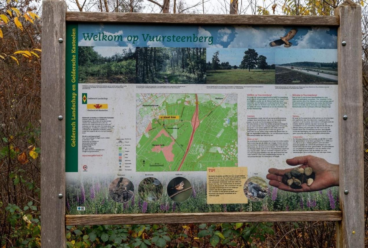 "Dennenhuisje" Op Bospark Ijsselheide Hattemerbroek エクステリア 写真