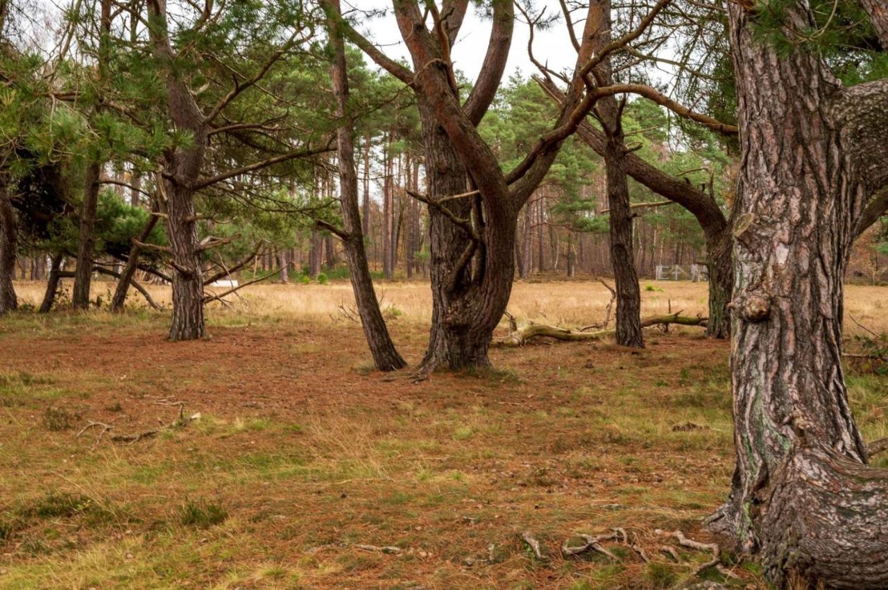 "Dennenhuisje" Op Bospark Ijsselheide Hattemerbroek エクステリア 写真