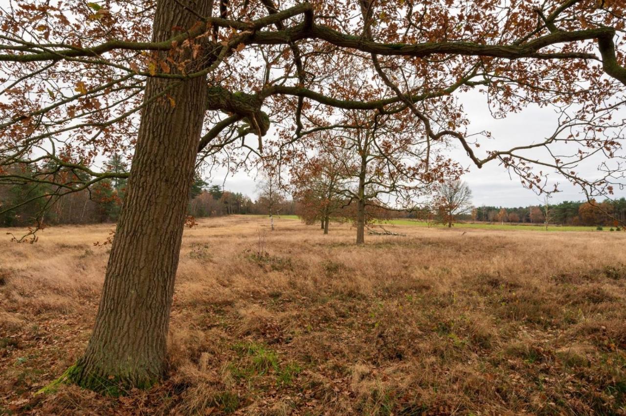"Dennenhuisje" Op Bospark Ijsselheide Hattemerbroek エクステリア 写真
