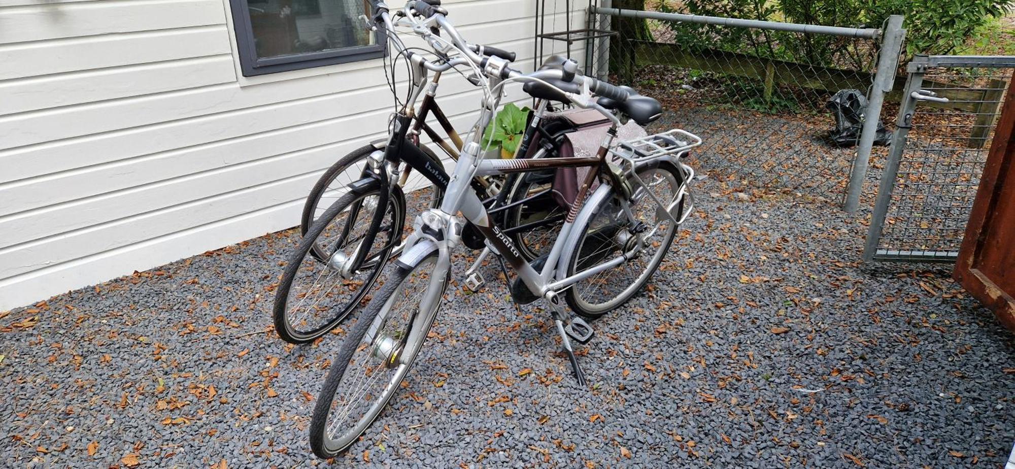 "Dennenhuisje" Op Bospark Ijsselheide Hattemerbroek エクステリア 写真